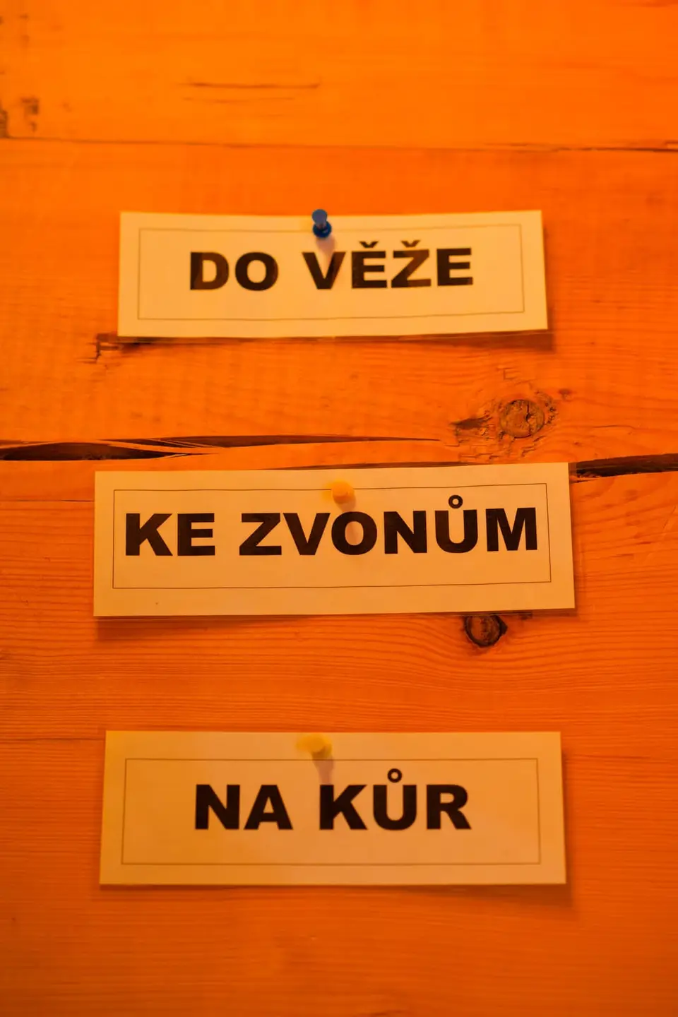 Noc kostelů 2025
